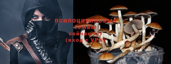 ПСИЛОЦИБИНОВЫЕ ГРИБЫ Нязепетровск