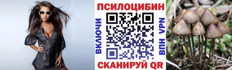 Галлюциногенные грибы Psilocybe  как найти закладки  Алексин 